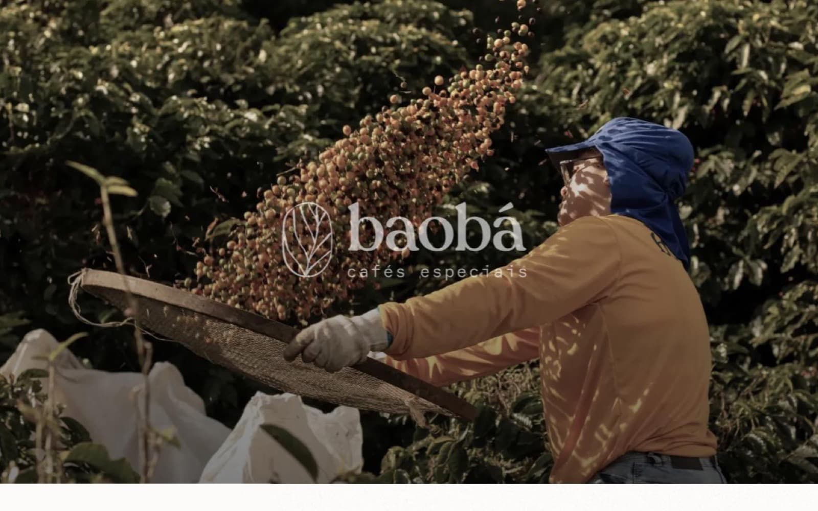 Baobá Café